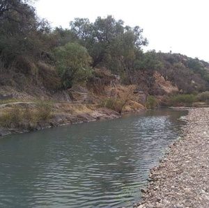 Meet your Posher, Ana